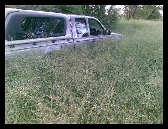 FARM FOR SALE IN LEPHALALE RURAL